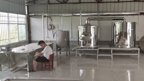秋冬想開個小型釀酒設備酒坊,烤酒設備多少錢一套