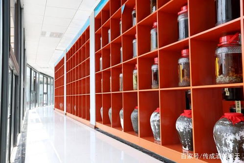 傳成酒械 來告訴你發(fā)酵時需要注意哪些