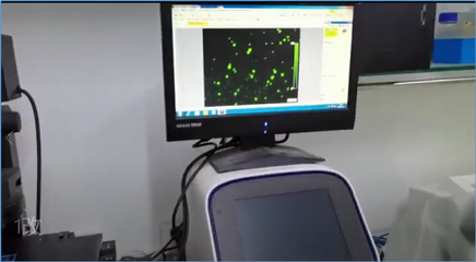 合曜生物 | 依托非模式生物自動化改造平臺,聚焦高附加值產品,多款已達量產水平